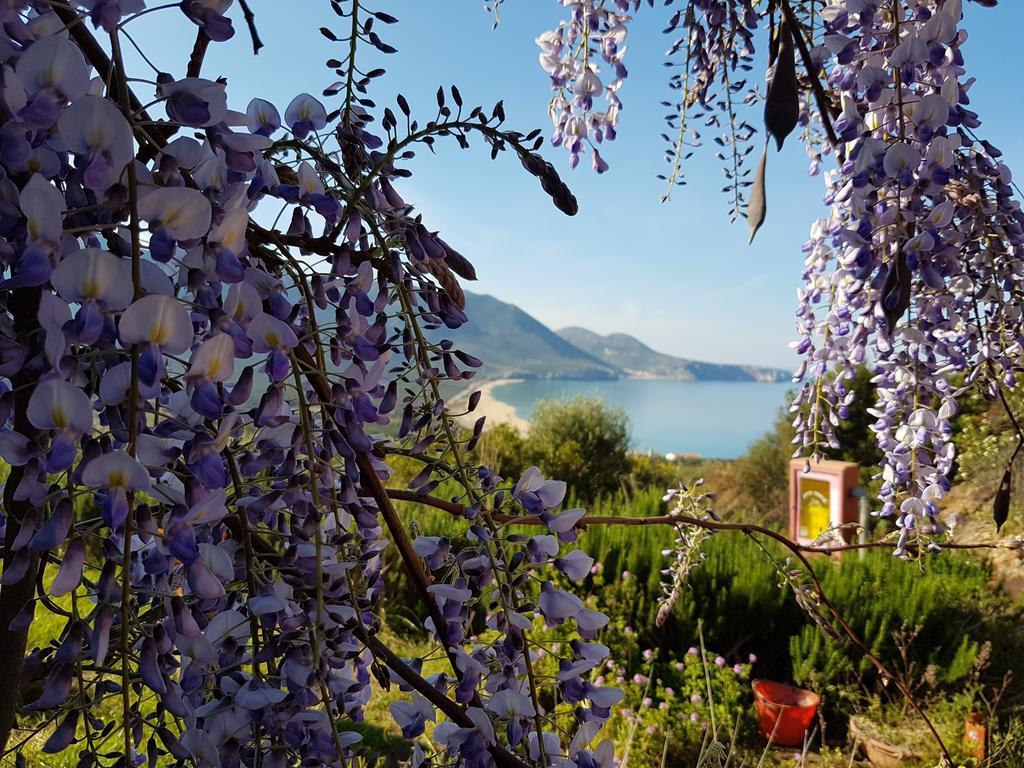 Hotel Sardus Pater Portixeddu Dış mekan fotoğraf